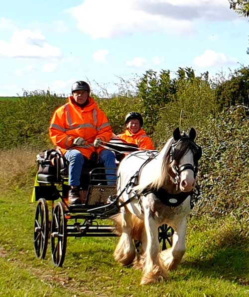 Dorset and South Wiltshire BDS Sunday Drive