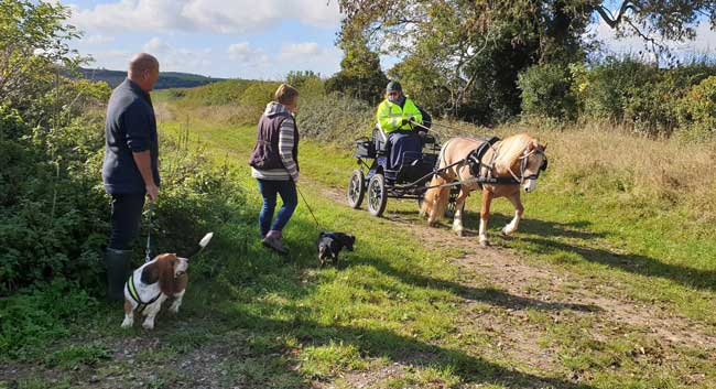 Dorset and South Wiltshire BDS Sunday Drive