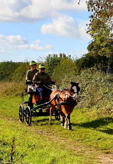 Dorset and South Wiltshire BDS Sunday Drive