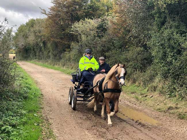 Dorset and South Wiltshire BDS Sunday Drive