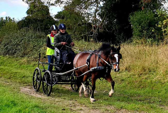 Dorset and South Wiltshire BDS Sunday Drive