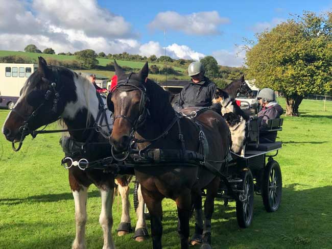 Dorset and South Wiltshire BDS Sunday Drive