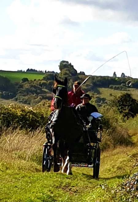 Dorset and South Wiltshire BDS Sunday Drive