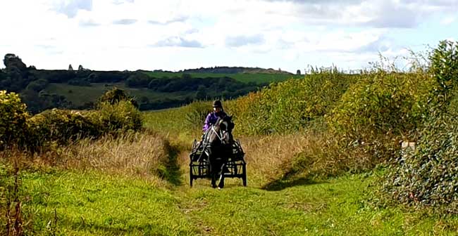 Dorset and South Wiltshire BDS Sunday Drive