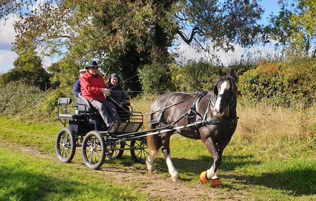 Dorset and South Wiltshire BDS Sunday Drive