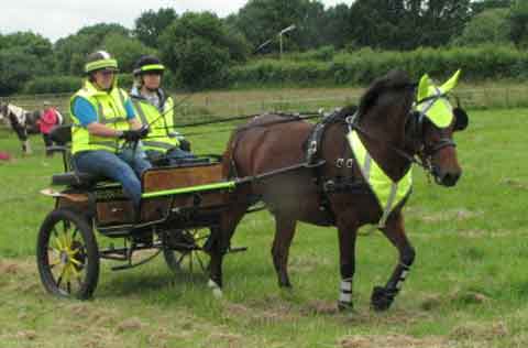 BDS Queen's Birthday Drive