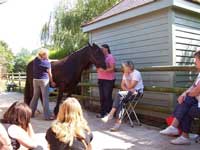 Reiki Demonstration