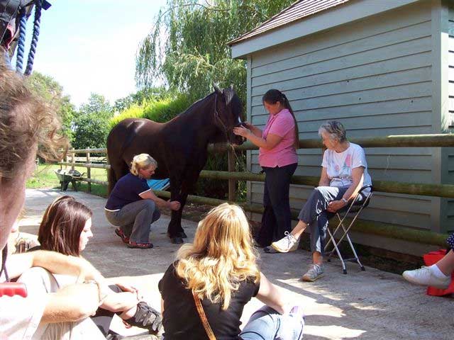 Reiki demonstration