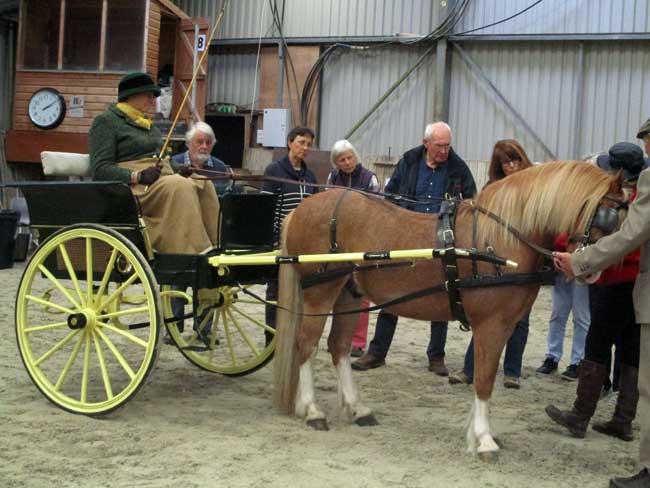 BDS Dorset & S. Wilts showing master class 2019