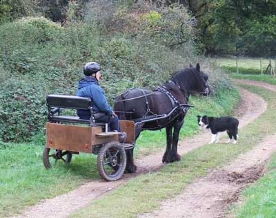 Sue Kennedy and helper