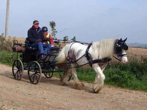 Dorset and South Wilts BDS Treasure Hunt  2015