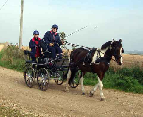 Dorset and South Wilts BDS Treasure Hunt  2015