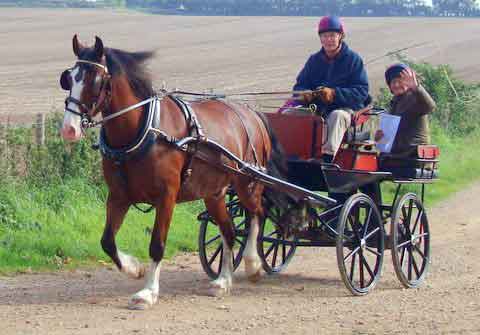 Dorset and South Wilts BDS Treasure Hunt  2015