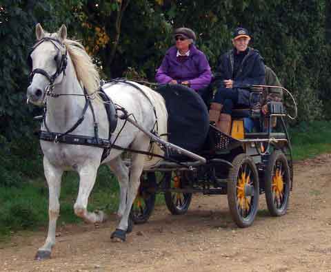 Dorset and South Wilts BDS Treasure Hunt  2015