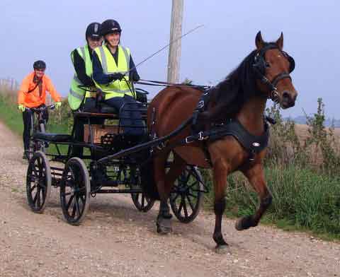 Dorset and South Wilts BDS Treasure Hunt  2015