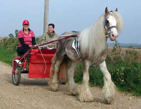 Dorset and South Wilts BDS Treasure Hunt  2015