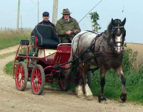 Dorset and South Wilts BDS Treasure Hunt  2015