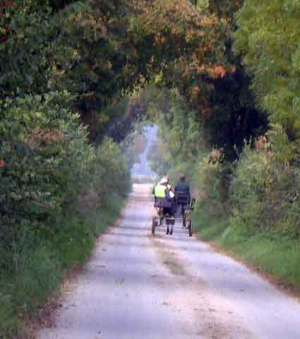 Dorset and South Wilts BDS Treasure Hunt  2015