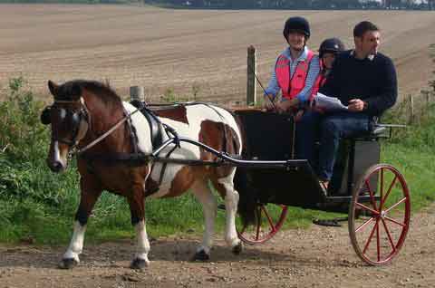 Dorset and South Wilts BDS Treasure Hunt  2015