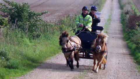 Dorset and South Wilts BDS Treasure Hunt  2015