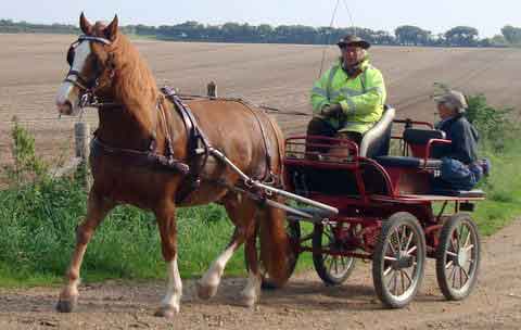 Dorset and South Wilts BDS Treasure Hunt  2015