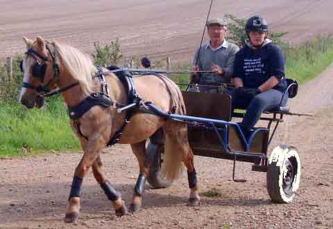 Dorset and South Wilts BDS Treasure Hunt  2015