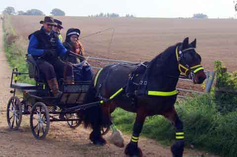 Dorset and South Wilts BDS Treasure Hunt  2015