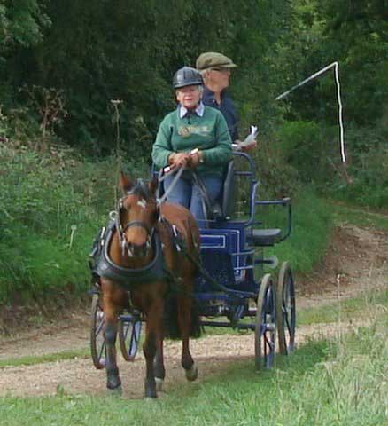 Dorset BDS Treasure Hunt 2011