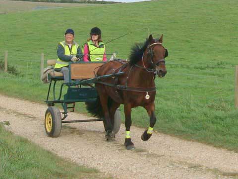 Dorset BDS Treasure Hunt 2011