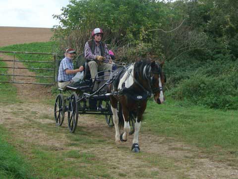 Dorset BDS Treasure Hunt 2011