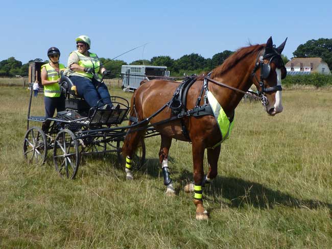 Dorset & S.Wilts BDS Trec 2018