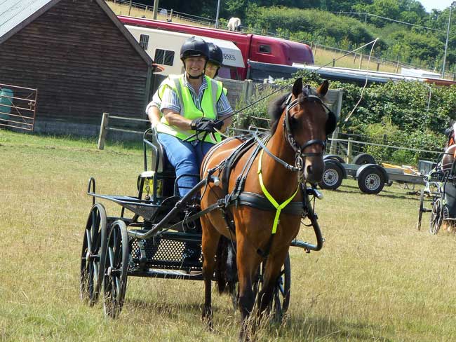 Dorset & S.Wilts BDS Trec 2018