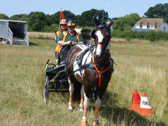 Dorset & S.Wilts BDS Trec 2018