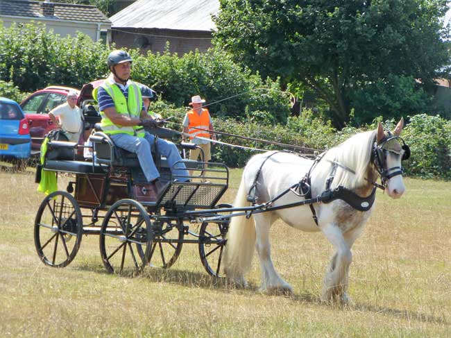 Dorset & S.Wilts BDS Trec 2018