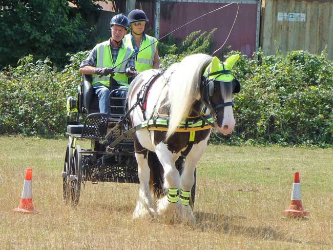 Dorset & S.Wilts BDS Trec 2018