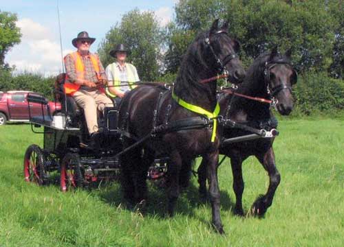 BDS Dorset & S Wilts Trek 2017