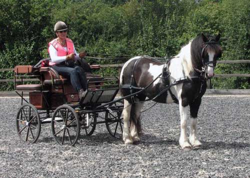 BDS Dorset & S Wilts Trek 2017