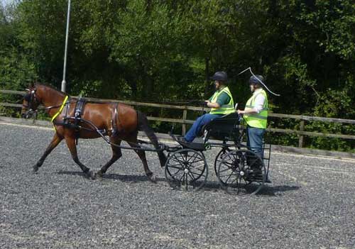 BDS Dorset & S Wilts Trek 2017