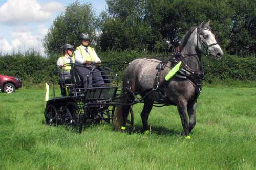 BDS Dorset & S Wilts Trek 2017