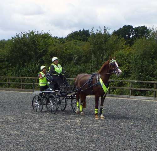 BDS Dorset & S Wilts Trek 2017