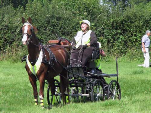 BDS Dorset & S Wilts Trek 2017