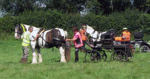 BDS Dorset & S Wilts Trek 2017