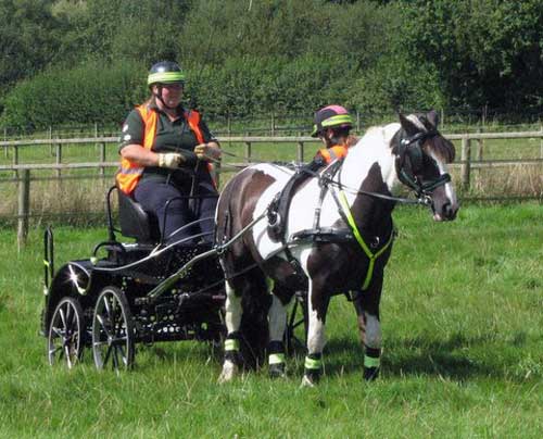 BDS Dorset & S Wilts Trek 2017