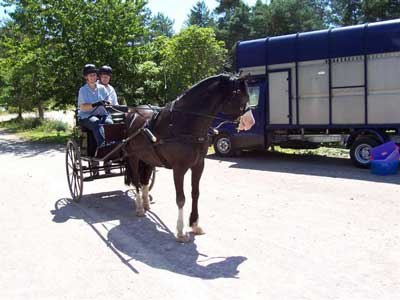 Alison and Michael Trevett