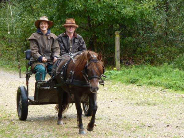 Wareham Forest September 2011